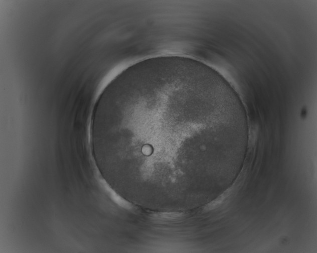 X0000093531294200710191345