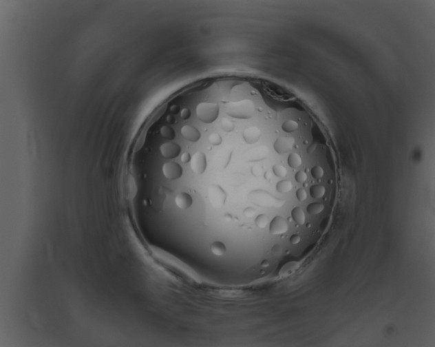 X0000093531295200710191345