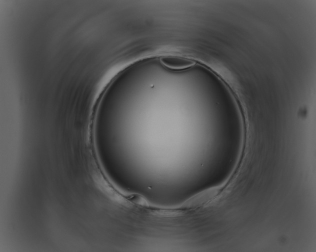 X0000093531296200710191345