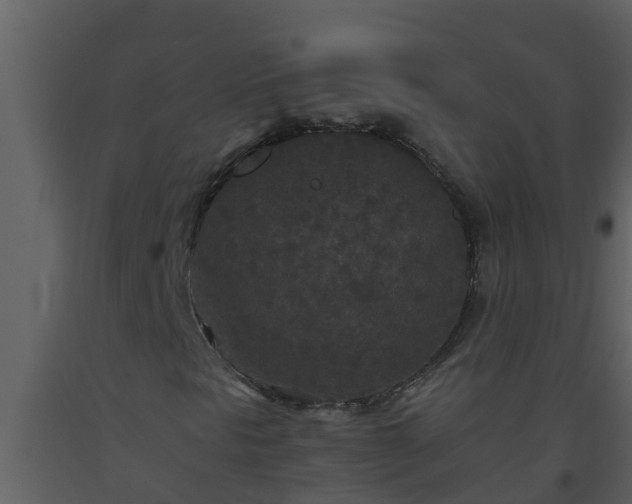 X0000093531297200710191345