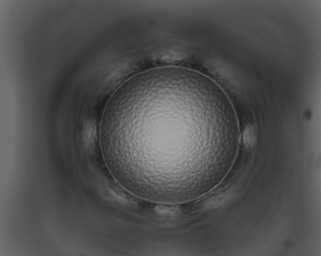 X0000093531299200710191345