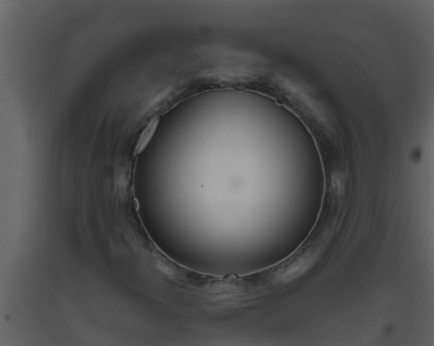 X0000093531300200710191345