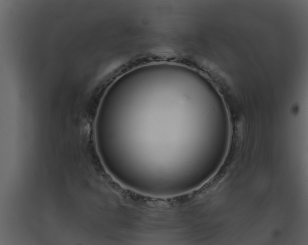 X0000093531302200710191345