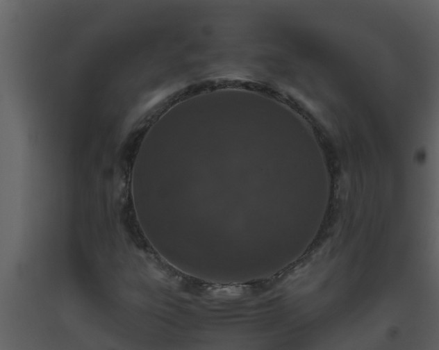 X0000093531303200710191345