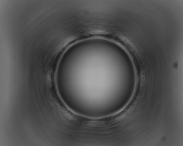X0000093531305200710191345