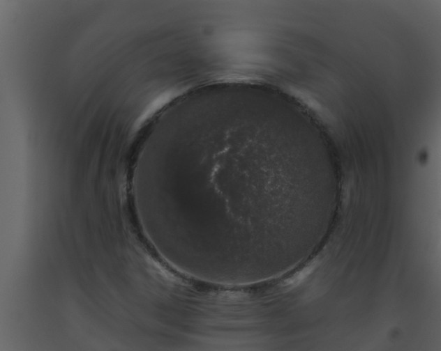 X0000093531306200710191345