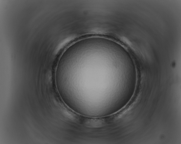 X0000093531307200710191345