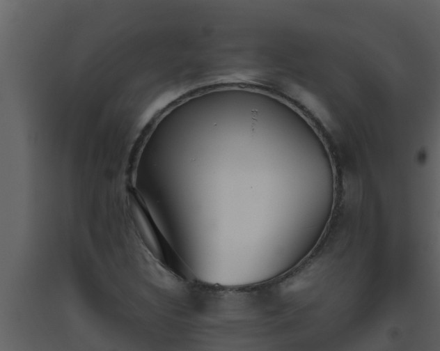 X0000093531308200710191345