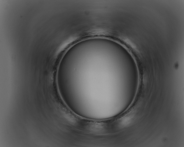 X0000093531309200710191345