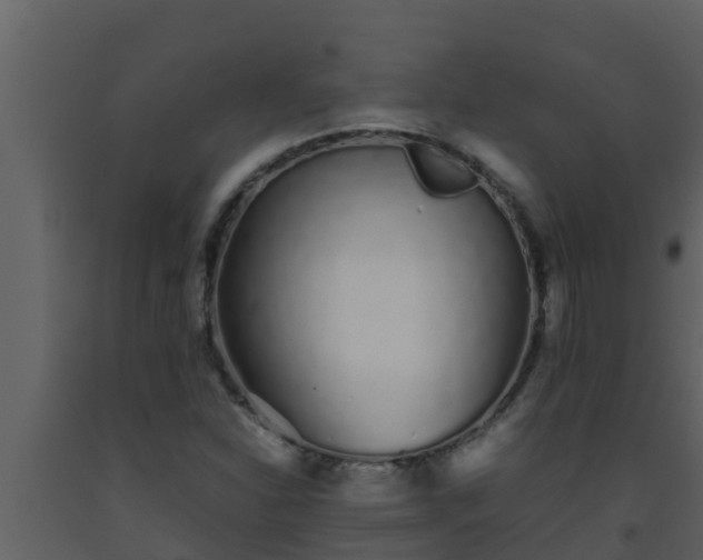 X0000093531310200710191345