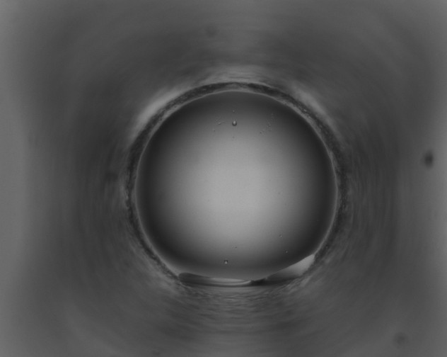 X0000093531312200710191345
