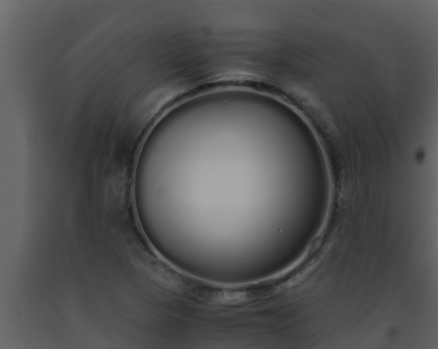X0000093531313200710191345