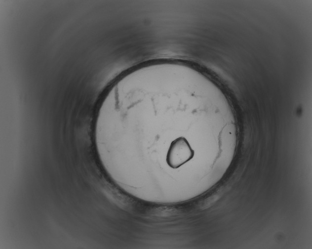 X0000093531314200710191345