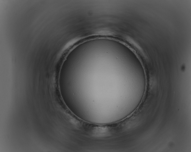 X0000093531315200710191345