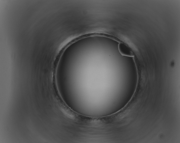 X0000093531316200710191345
