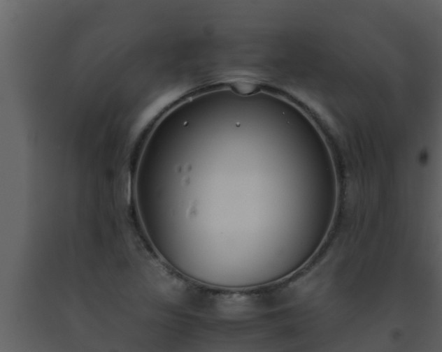 X0000093531317200710191345