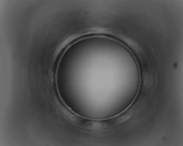 X0000093531318200710191345