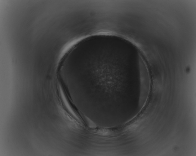 X0000093531319200710191345