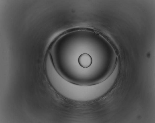 X0000093531320200710191345