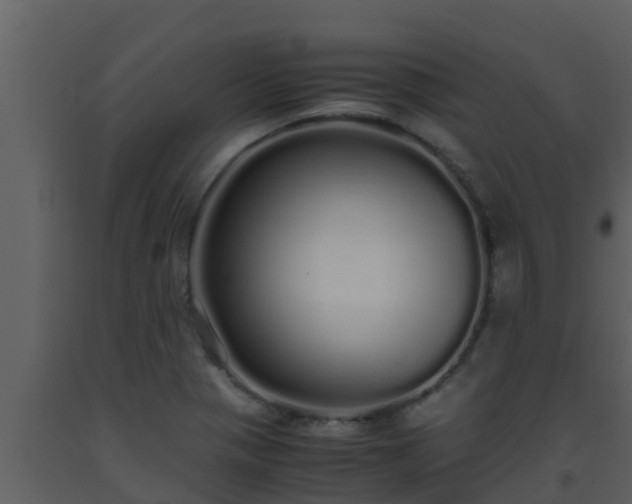 X0000093531321200710191345