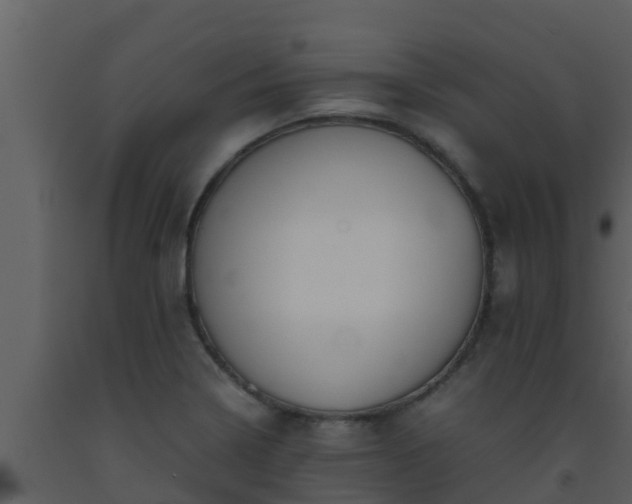 X0000093531322200710191345