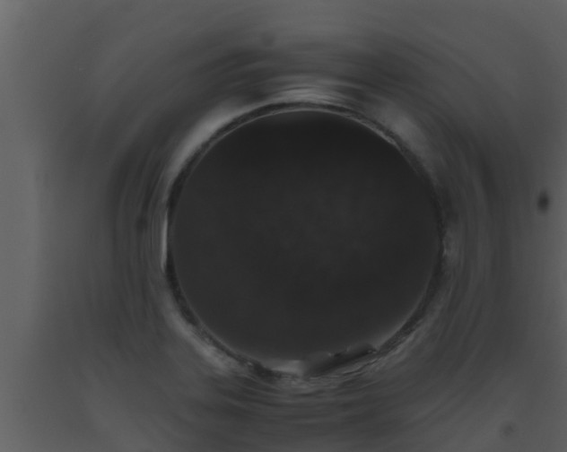 X0000093531323200710191345
