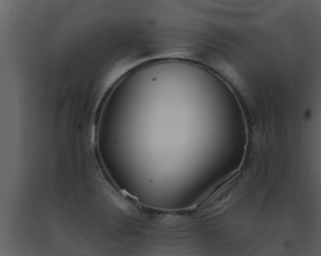 X0000093531324200710191345