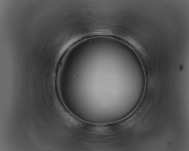 X0000093531325200710191345