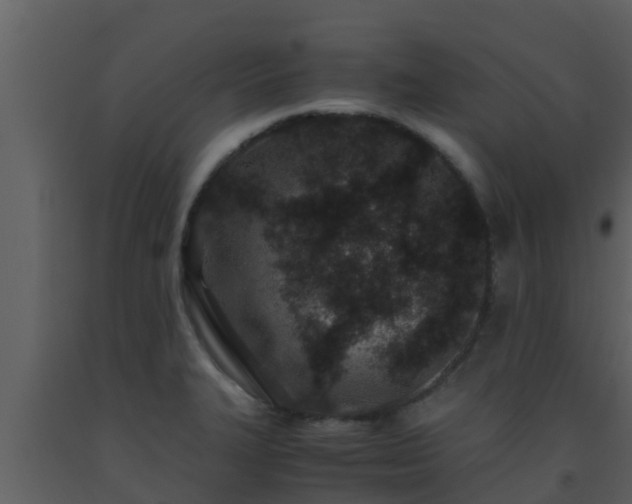 X0000093531327200710191345