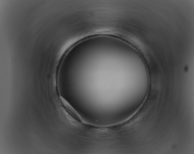 X0000093531328200710191345