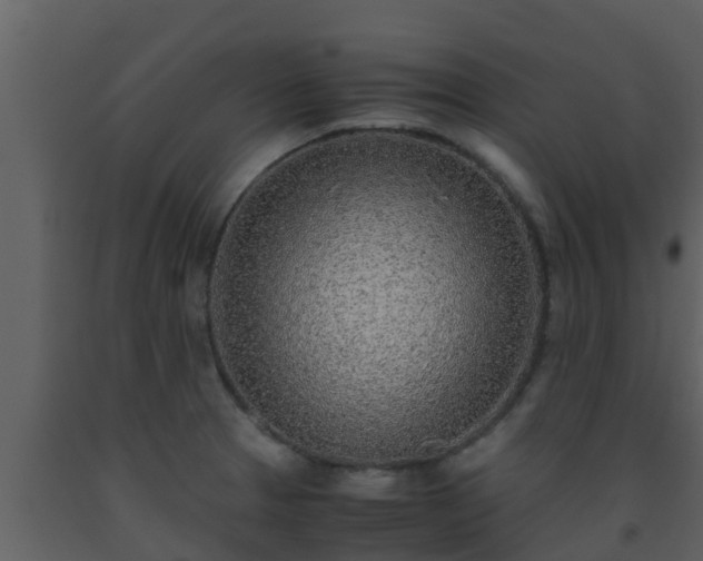 X0000093531329200710191345