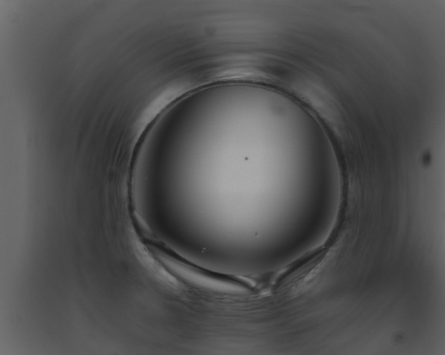 X0000093531330200710191345
