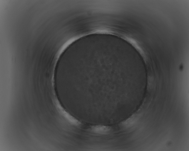X0000093531331200710191345