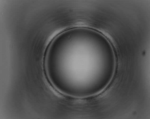 X0000093531333200710191345