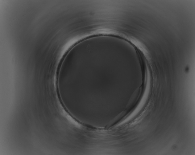 X0000093531334200710191345
