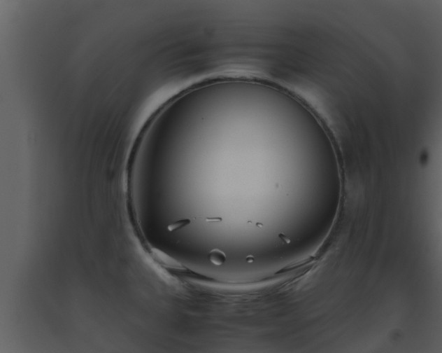 X0000093531335200710191345