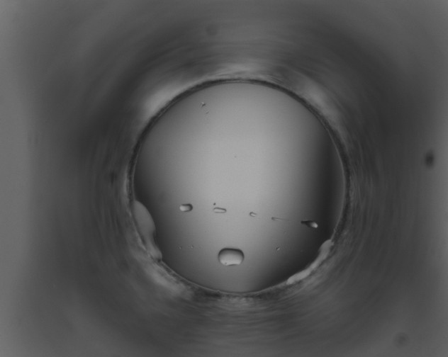 X0000093531336200710191345