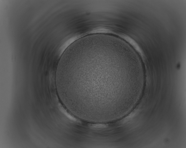 X0000093531337200710191345