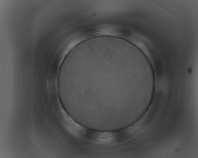 X0000093531338200710191345