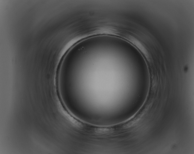 X0000093531339200710191345