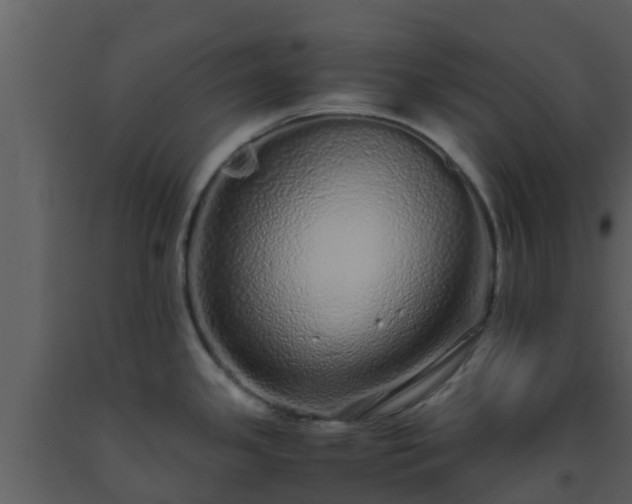 X0000093531341200710191345