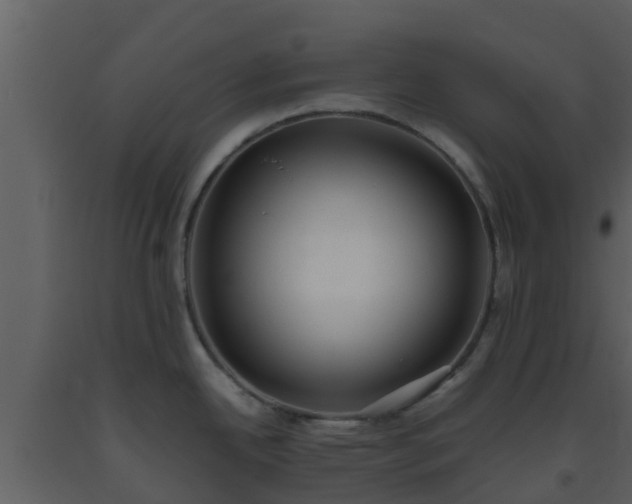 X0000093531342200710191345