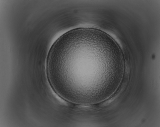 X0000093531343200710191345