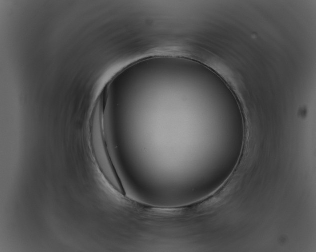 X0000093531344200710191345