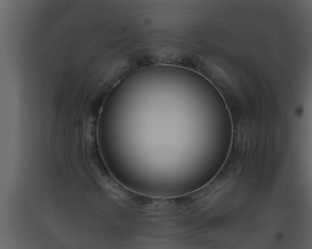 X0000093531346200710191345