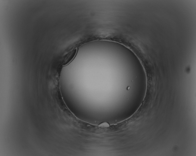 X0000093531349200710191345