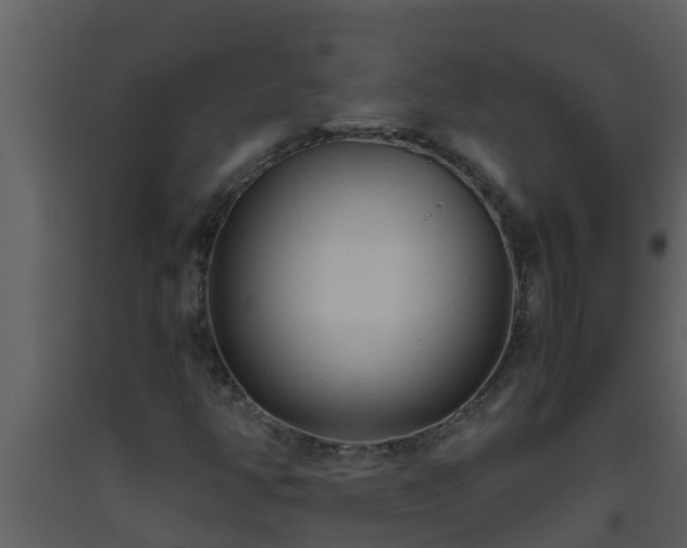 X0000093531350200710191345