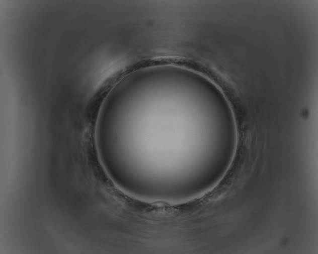 X0000093531351200710191345