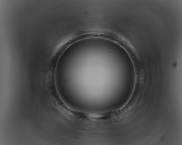 X0000093531352200710191345