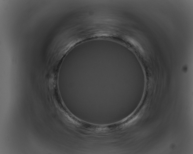 X0000093531353200710191345